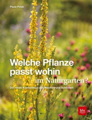 Welche Pflanze passt wohin