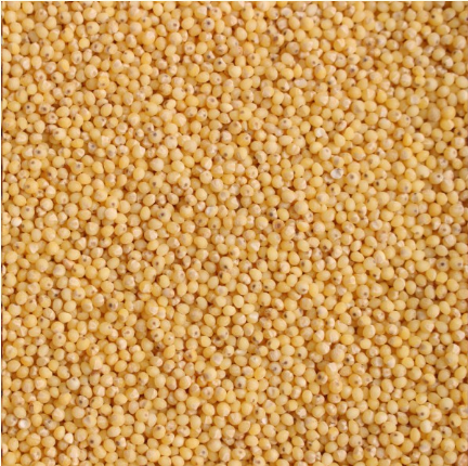 Goldhirse Bioland 1 kg