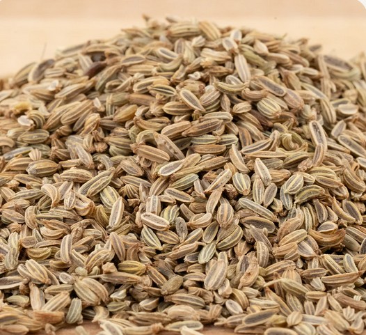 Fenchel Bio-Keimsaat 70 gr.
