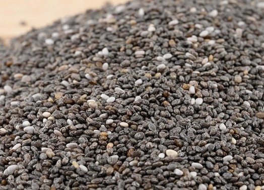 Chia Schwarz Bio-Keimsaat 125 gr.